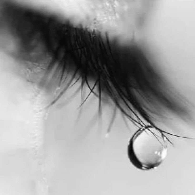 How Does God Respond to Grieving People? god's response